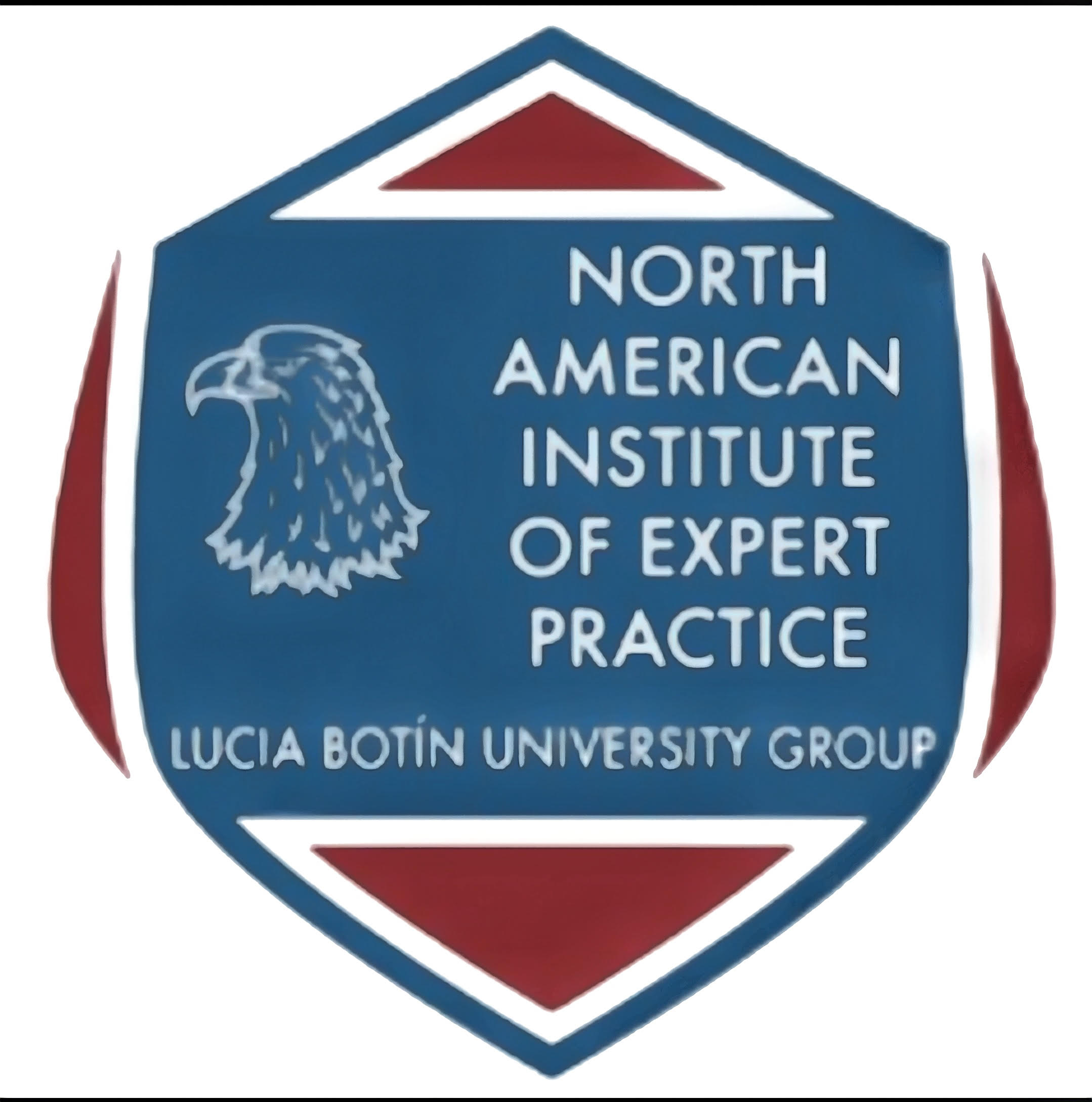 North American Institute of Expert Practice