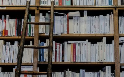 El deslindar la educación de los parámetros universales, para no realizar evaluaciones que permitan mejorar calidad educativa a estándares reconocidos mundialmente, es un fraude.