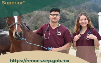¿Aún no sabes que carrera elegir?
