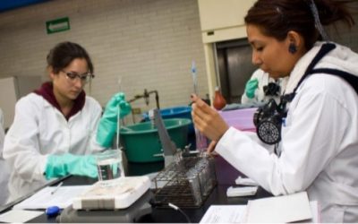 Pese a gasto castigado, mujeres superan y lideran matrícula en educación