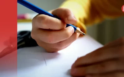 ¿Por nuevas actividades escolares? Buscan ampliar los horarios en las escuelas de la SEP
